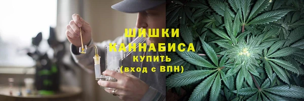шишки Алексин