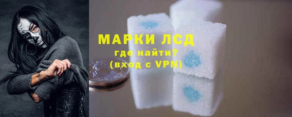 стафф Алзамай