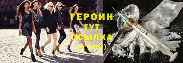 сатива Великий Новгород