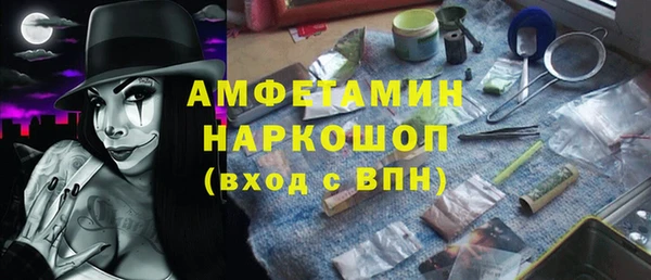шишки Алексин